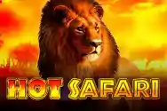 HOT SAFARI